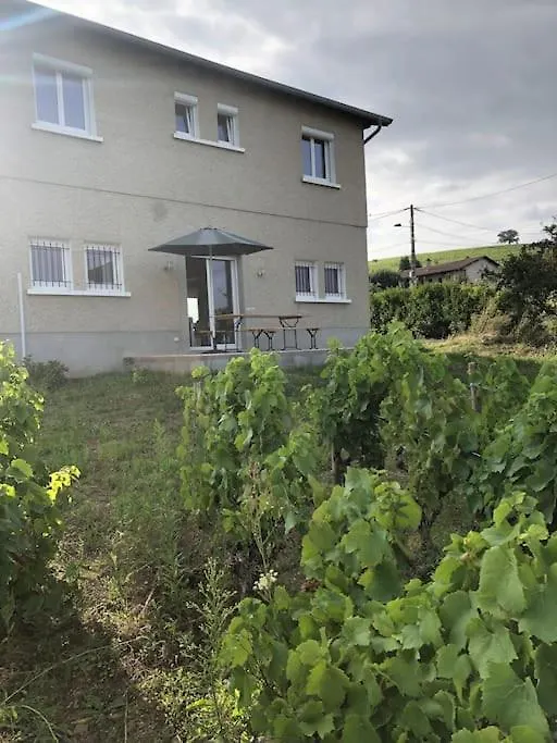 Petit Gite De Javernieres Rez De Jardin Villié-Morgon 0*,  France